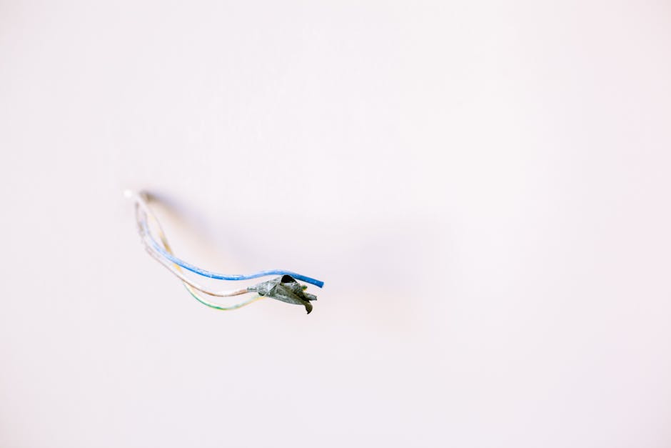 Home rewiring knob and tube Newcastle WA
